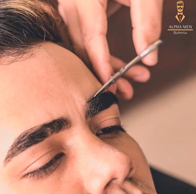 PERFILACION DE CEJAS